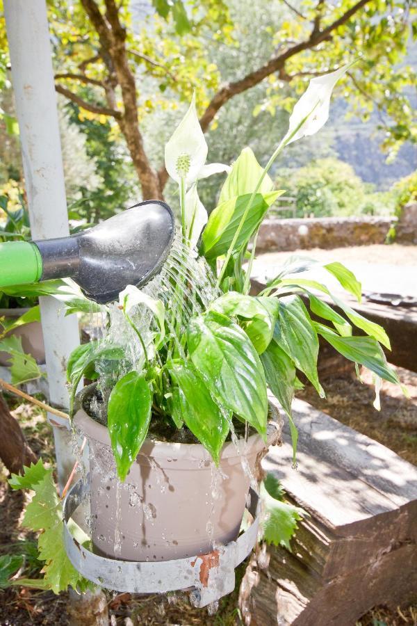 Sailor'S Rustic House Villa Virpazar Ngoại thất bức ảnh