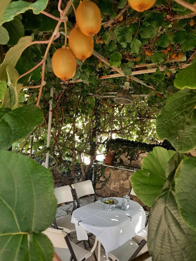 Sailor'S Rustic House Villa Virpazar Ngoại thất bức ảnh