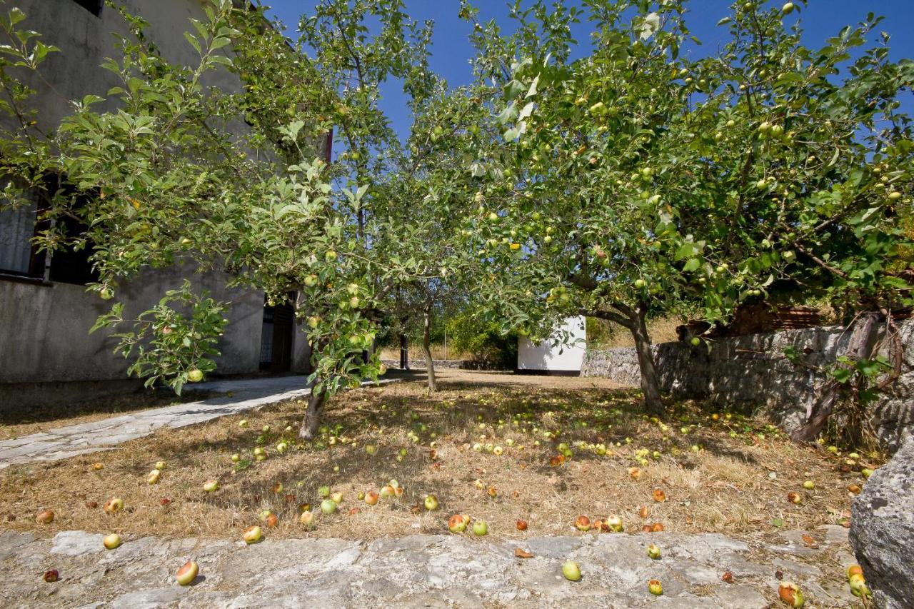 Sailor'S Rustic House Villa Virpazar Ngoại thất bức ảnh