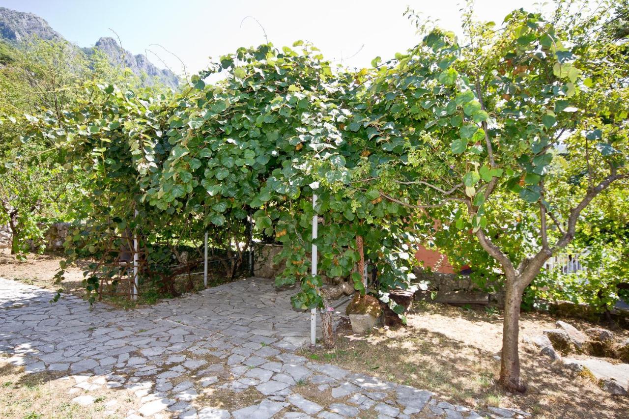 Sailor'S Rustic House Villa Virpazar Ngoại thất bức ảnh